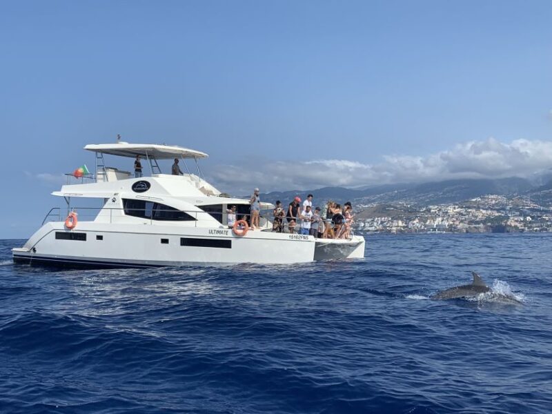 All Inclusive Whale and Dolphin Watching Luxury Tour - Customer Reviews and Ratings