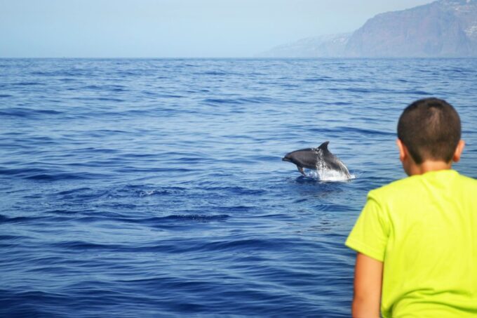 All Inclusive Whale and Dolphin Watching Luxury Tour - Cancellation and Refund Policy