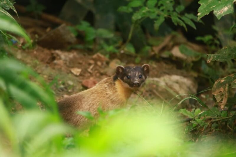 All Inclusive Wildlife Observation & Birdwatching Adventure - Arrival and Orientation in Bangkok