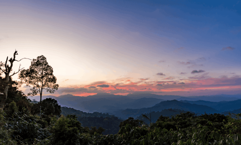 All Inclusive Wildlife Observation & Birdwatching Adventure - Nature Adventure in Kaeng Krachan