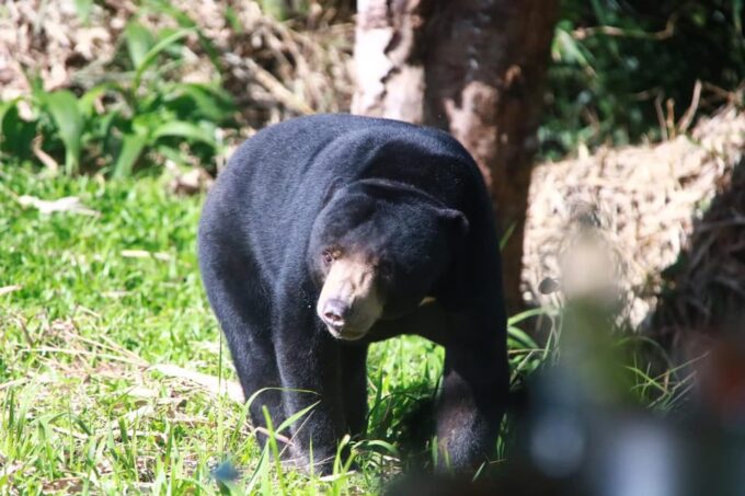 All Inclusive Wildlife Observation & Birdwatching Adventure - Inclusions and Restrictions