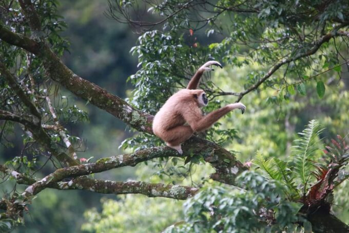All Inclusive Wildlife Observation & Birdwatching Adventure - Frequently Asked Questions