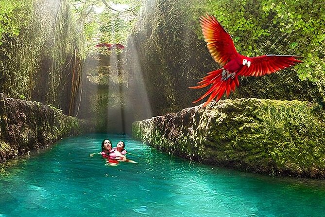 All-Inclusive Xcaret Park With Transportation From Cancun & Playa Del Carmen - Pricing and Booking Options