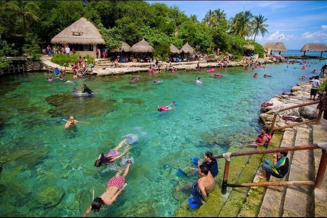 All-Inclusive Xcaret Park With Transportation From Cancun & Playa Del Carmen - Customer Feedback and Reviews