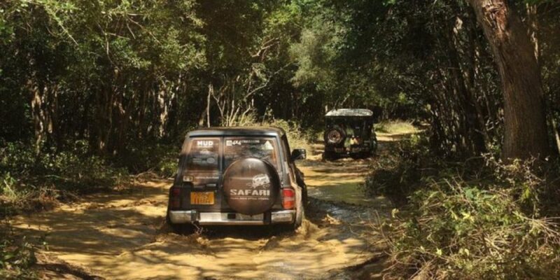 All-Inclusive Yala Safari Adventure and Beachside BBQ - Exploring Yala National Park