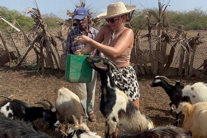 ALL-INCLUSSIVE Cabrer Journey-Live a Day Like a Cabrer-Boavista - Unique Local Experiences