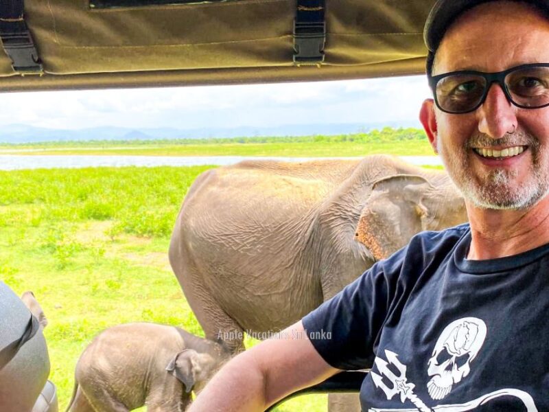 All Inclussive Udawalawa National Park Safari From Colombo - Wildlife and Nature