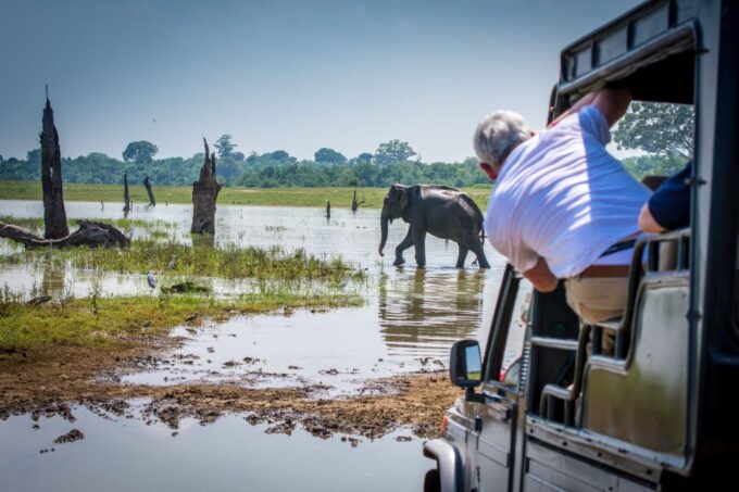 All Inclussive Udawalawa National Park Safari From Colombo - Transportation and Pickup