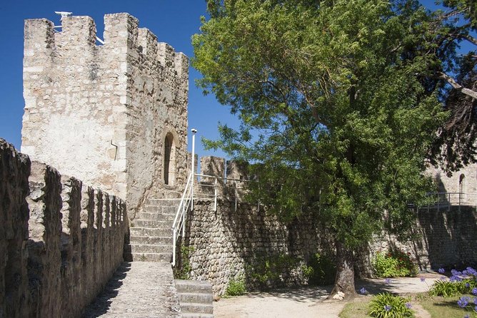 All Knight Templar - Highlights of the Templar Tour
