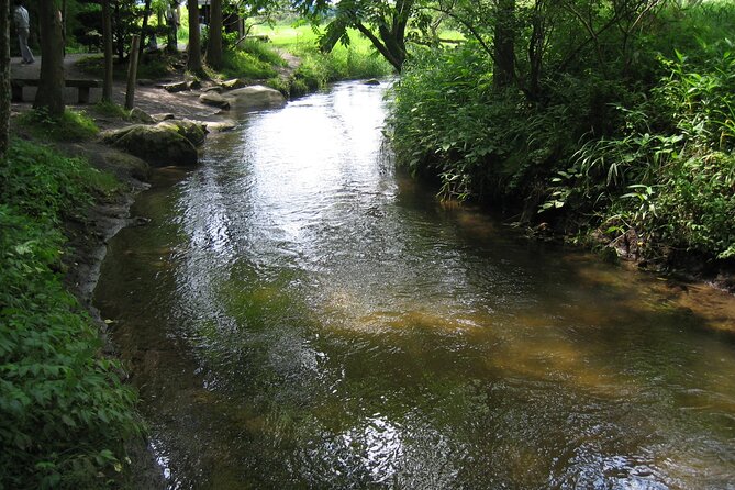 All Must-Sees Tono Private Tour With Government-Licensed Guide - Cancellation Policy