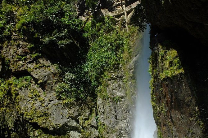 All of Ecuador Mainland in 10 Days Mountains, Jungle and Lowland - Traveler Testimonials