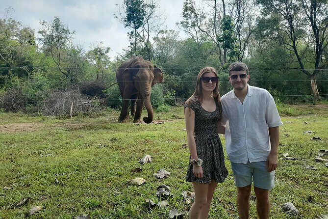 All of Sri Lanka within 10 Days - An In-Depth Look at the Itinerary