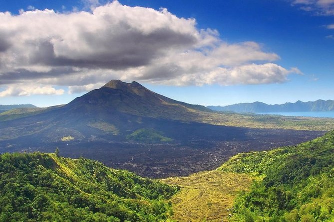 All of Ubud: Monkey Forest, Volcano, Temples and Rice Terrace - Inclusions