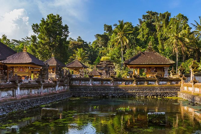 All of Ubud: Monkey Forest, Volcano, Temples and Rice Terrace - Reviews