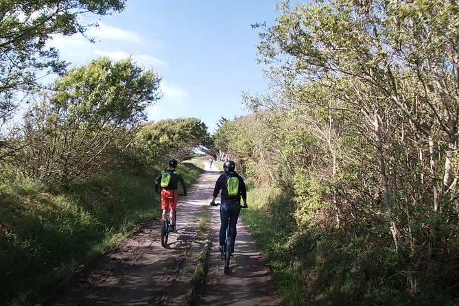 All-Terrain Electric Scooter - 1h30 Guided by GPS - Carnac Beaches - Meeting and Pickup