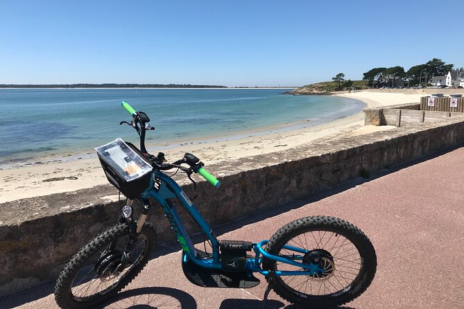 All-Terrain Electric Scooter - 2h30 Guided by GPS - the Big Carnac Tour - Reviews and Ratings