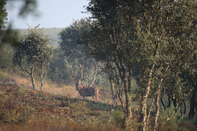 All-Terrain Sightseeing Tour - Exploring Braganca Outskirts