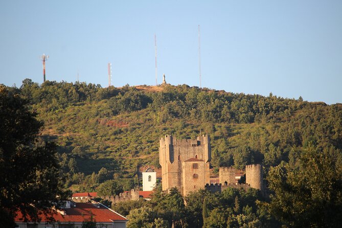 All-Terrain Sightseeing Tour - Diverse Landscapes and Wildlife