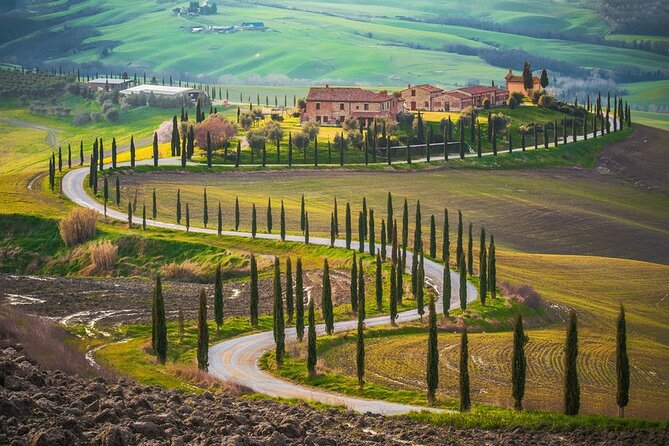 All Tuscany Private Siena San Gimignano & Chianti Livorno Shore Excursion - Customer Feedback Highlights