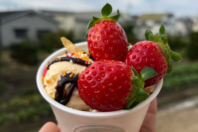 All You Can Eat Strawberry Picking in Izumisano Osaka - Inclusions