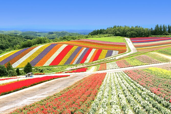 All-you-can-eat Yubari Melons & Hokkaido Lavender Tour - Meeting and Pickup