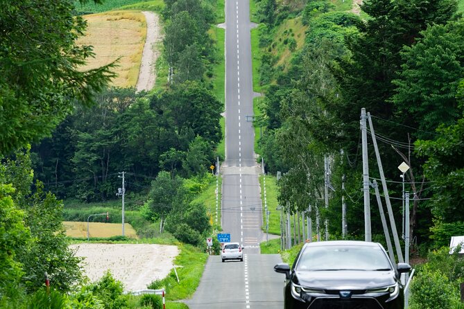 All-you-can-eat Yubari Melons & Hokkaido Lavender Tour - Yubari Melon Experience