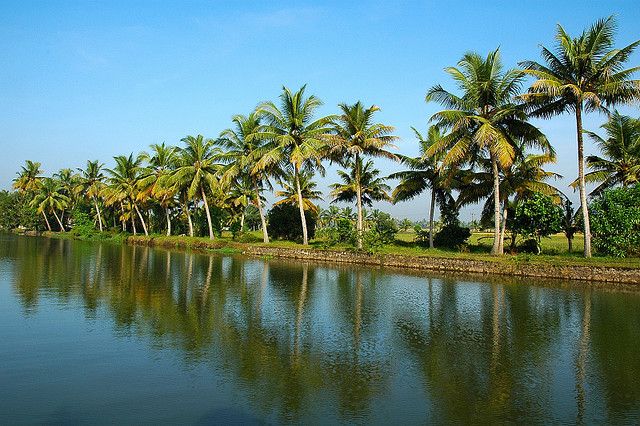 Alleppey / Alappuzha Backwater Canoe (Shikara) Cruise - Pricing and Duration