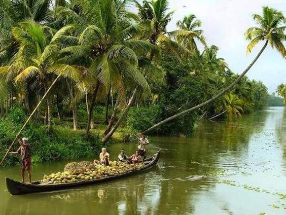 Alleppey / Alappuzha Backwater Canoe (Shikara) Cruise - Private Group Experience