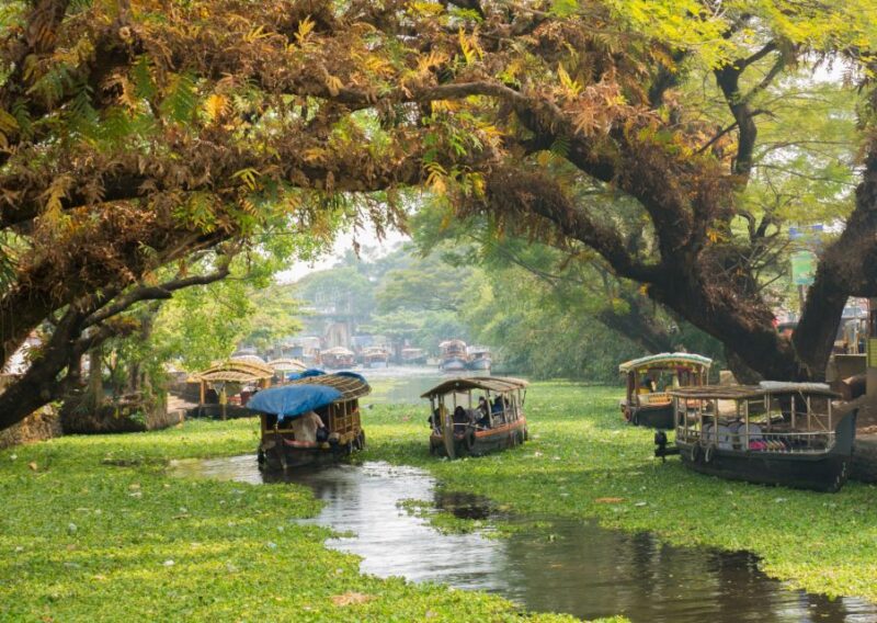 Alleppey Photography Guided Walk Tour With Tuk Tuk Ride - What to Bring