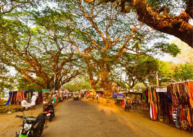 Alleppey Photography Guided Walk Tour With Tuk Tuk Ride - Meeting Point