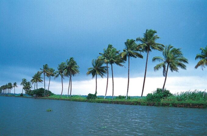 Alleppey Shikara Boat Ride - Scenic Backwater Cruising