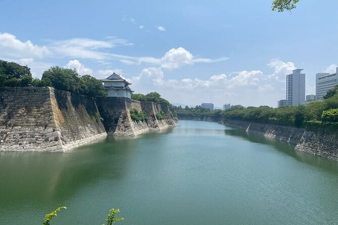 Allure of Osaka Walking Day Tour With a Local Guide - Efficient Transportation and Logistics