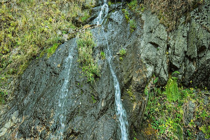 Alma-Arasan Gorge Tour - Health and Safety