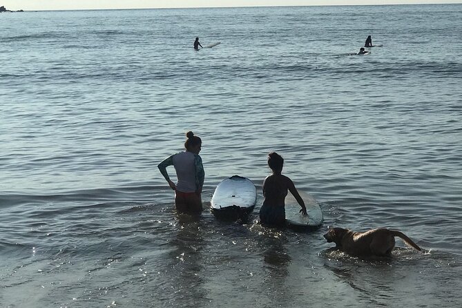 Almar Surf & Skate School: Surflessons in Bahia De Banderas - Schedule and Availability