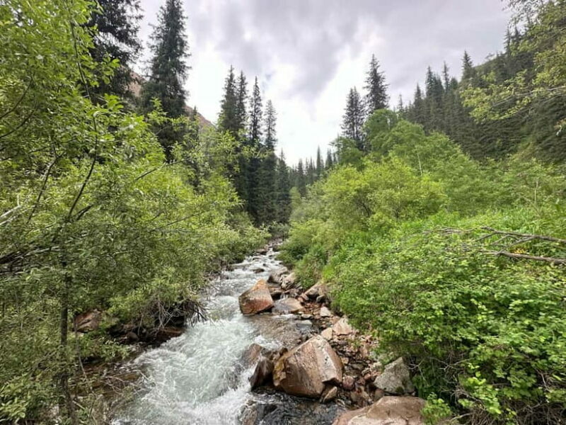Almaty: Lake Issyk with Turgen Waterfall Small-Group Tour - The Sum Up