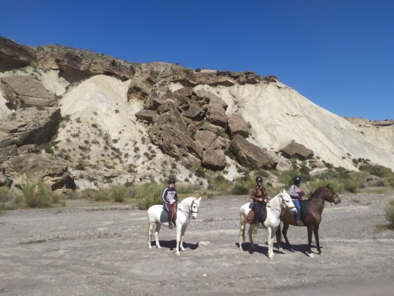 Almeria: Horse Riding Tour Through the Tabernas Desert - Desert Exploration and Filming Locations
