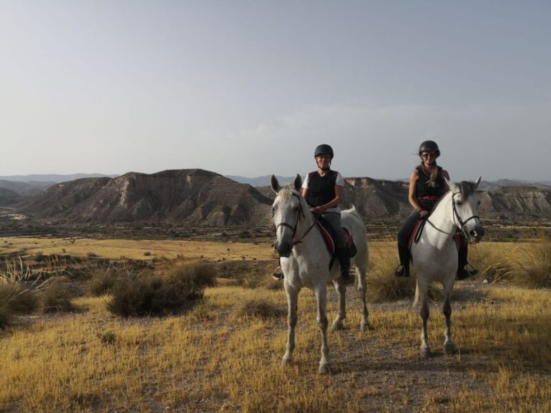 Almeria: Horse Riding Tour Through the Tabernas Desert - Riding Experience and Options