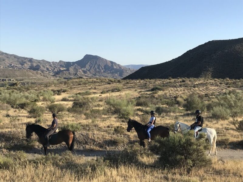 Almeria: Horse Riding Tour Through the Tabernas Desert - What to Bring and Restrictions