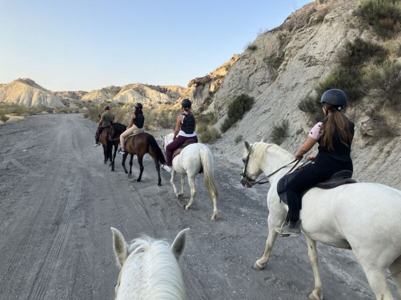 Almeria: Tabernas Desert Horse Riding for Experienced Riders - Horseback Riding Tour Details