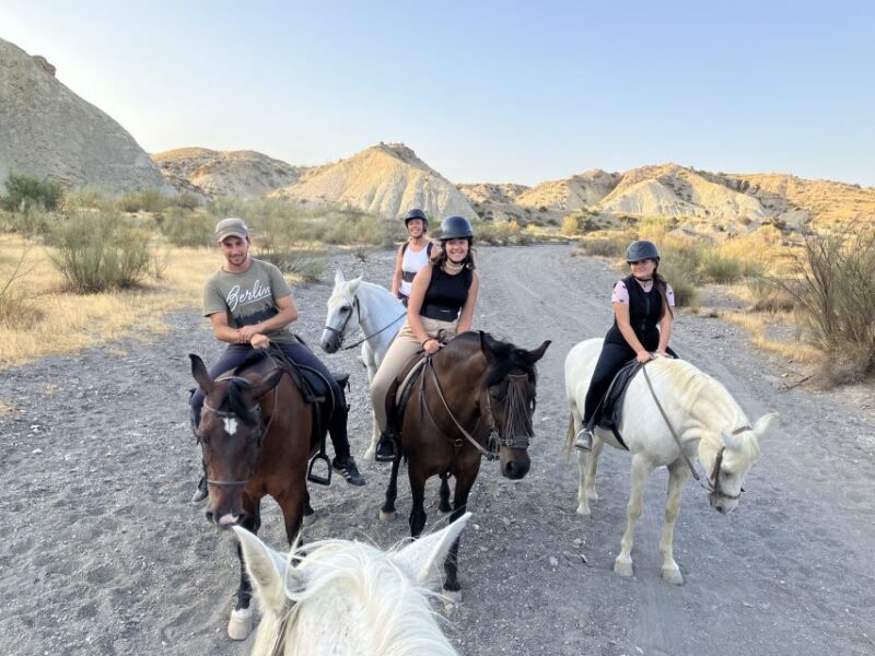 Almeria: Tabernas Desert Horse Riding for Experienced Riders - Tour Inclusions and Insurances