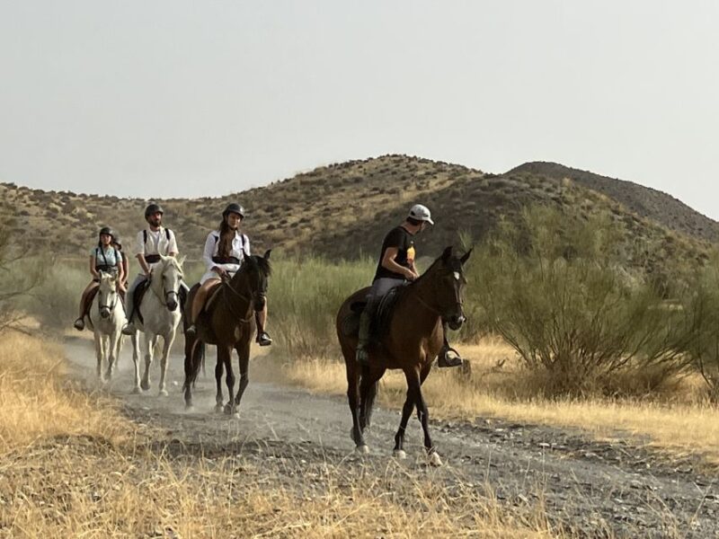 Almeria: Tabernas Desert Horse Riding for Experienced Riders - Booking and Cancellation Policy