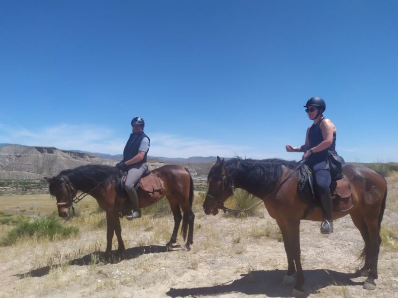 Almeria: Tabernas Desert Horse Riding for Experienced Riders - Meeting Point and Access