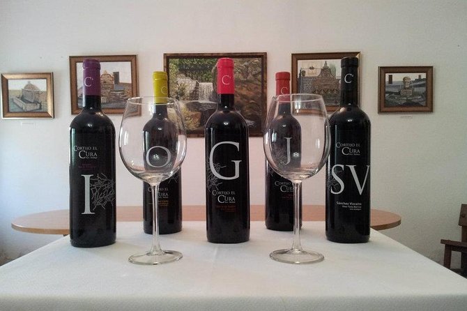 Almeria Visit to Eco Winery Cortijo El Cura and Wine Tasting - Whats Included in the Tour