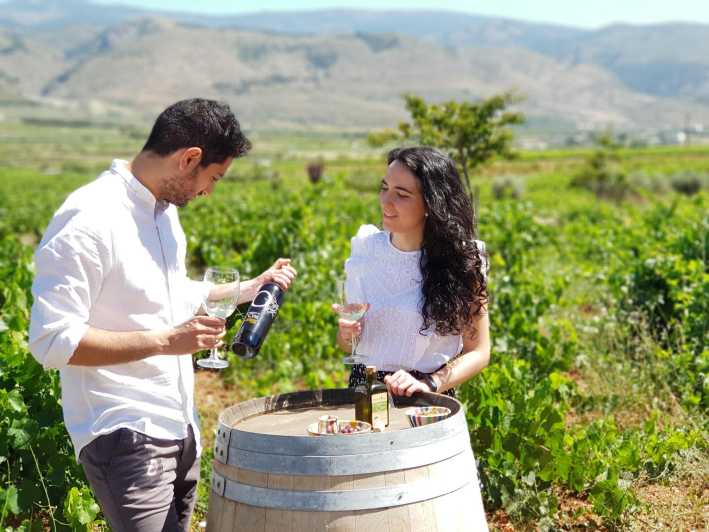 Almeria: Wine Tour and Aperitif From La Alpujarra in Laujar - Itinerary Details
