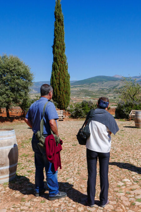 Almeria: Wine Tour and Aperitif From La Alpujarra in Laujar - Scenic Vineyard Experience