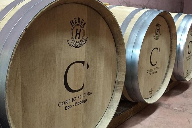 Almería Wine Tour and Tasting in English in Bio Winery - Andalusian Winemaking Traditions