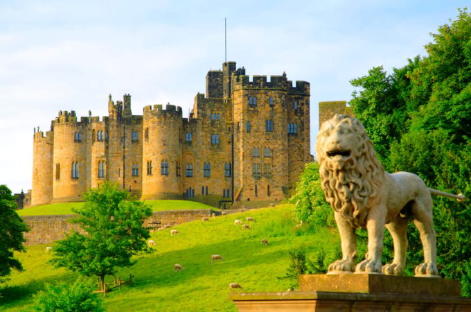 Alnwick: Alnwick Castle Ticket - Broomstick Training and Family-Friendly Activities