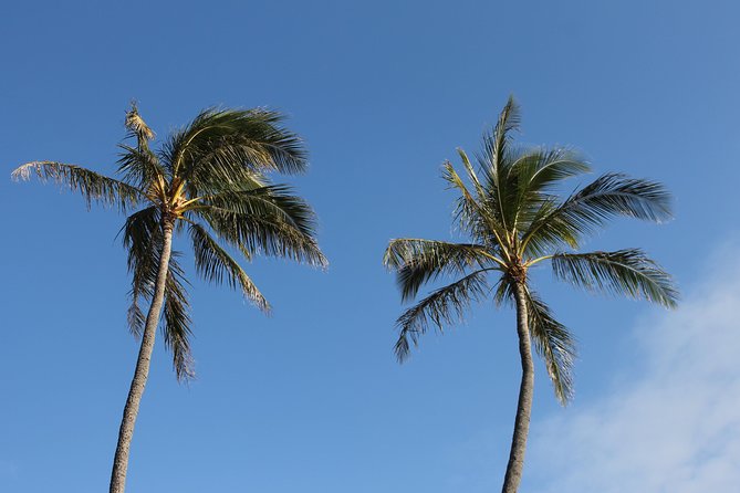 Aloha Scooter Tours - Inclusions