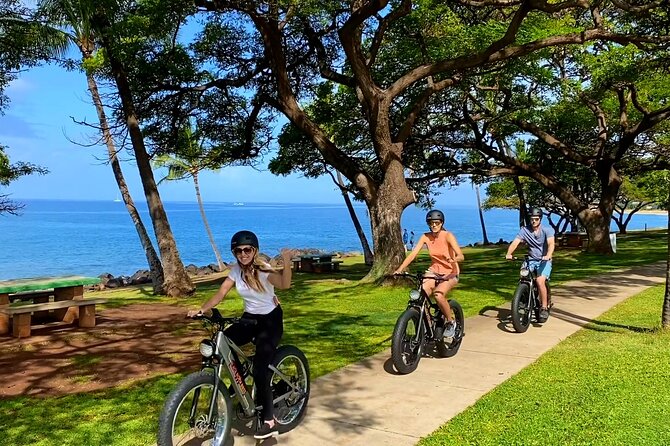 Aloha West Maui 2 Hour Self-Guided Electric Bike Tour - Accessibility and Participation