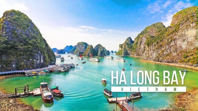 Alova Premium Cruise - A Mid-range Luxury 6 Hours Cruise - Key Points
